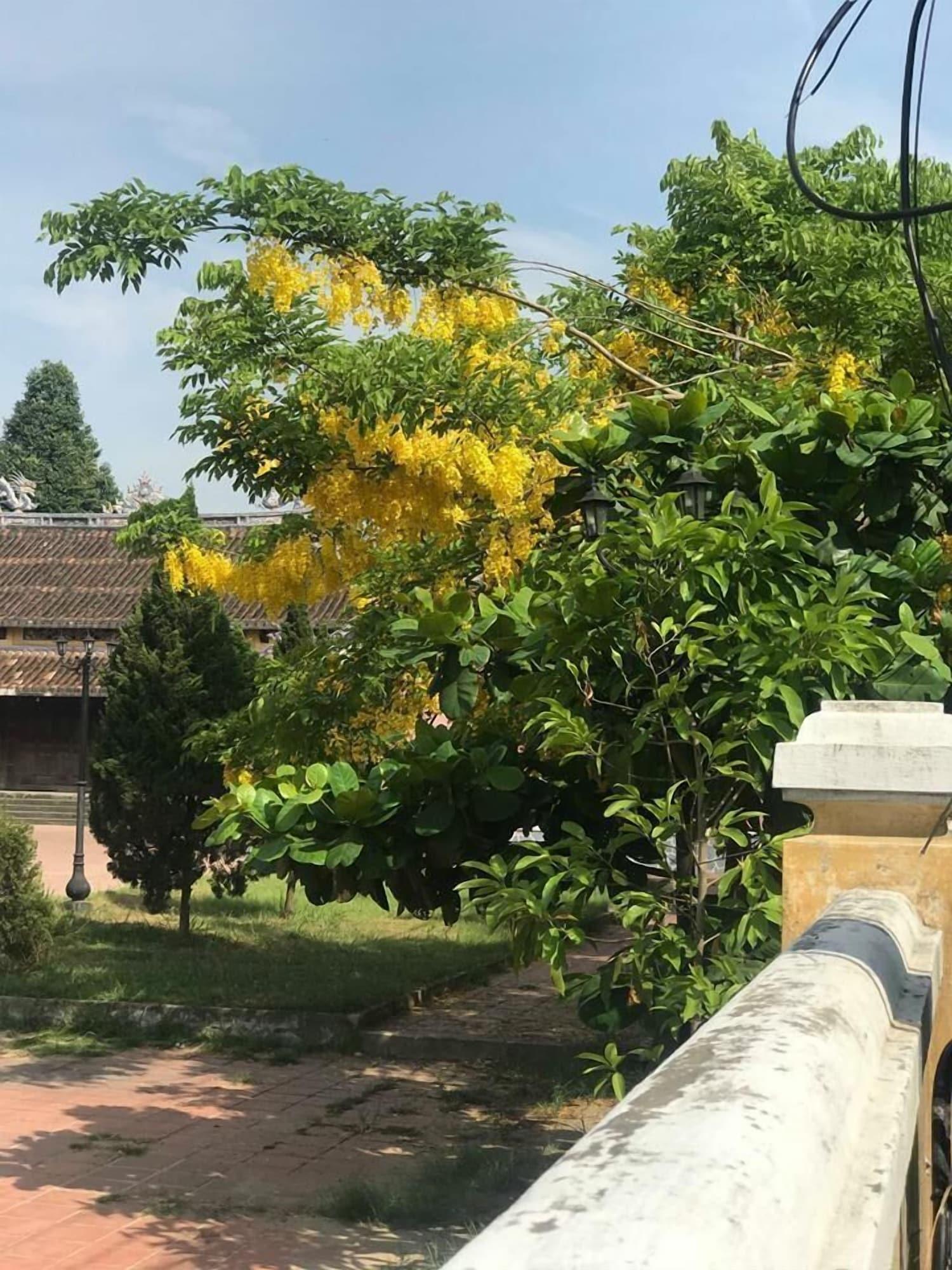 Champa Hoi An Villas Екстериор снимка